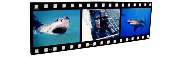 Foto Lienzo Cinta de Pelicula