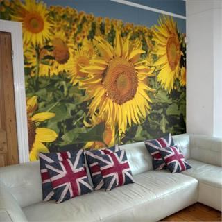 Papel de Pared