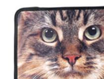 Ipad Funda